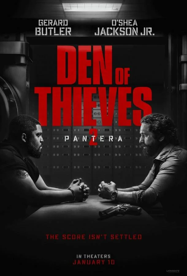 Постер Охота на воров 2: Пантера