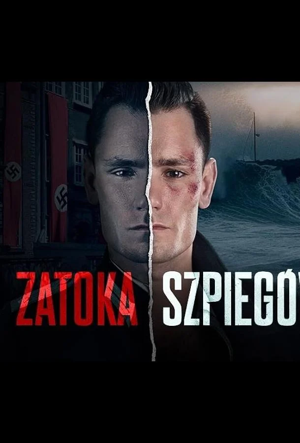 Постер Шпионская бухта